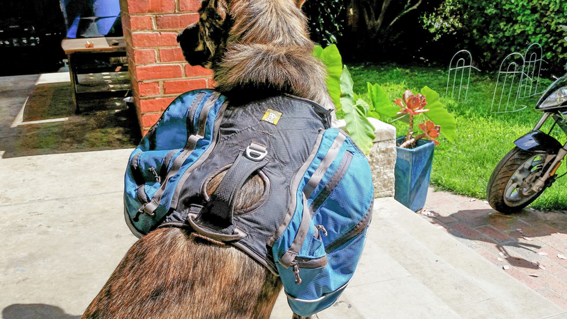 Illustration for article titled Adventure Tested: Ruffwear Approach Dog Pack